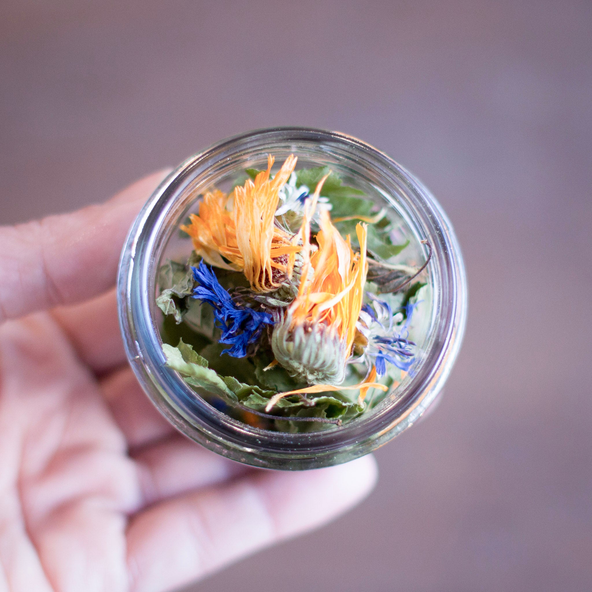 Chemin de printemps - Tisane bio (25g)